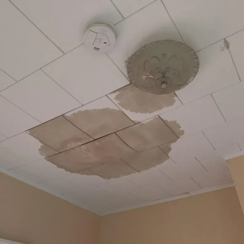 Ceiling Water Damage Repair in Quail Creek, TX