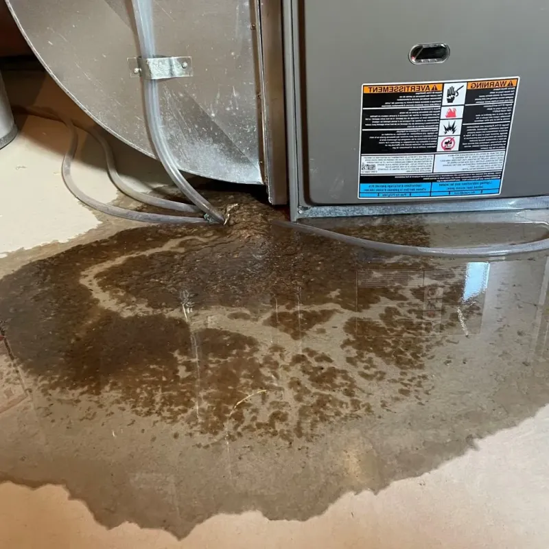 Pipe Burst and Leak Restoration in Quail Creek, TX
